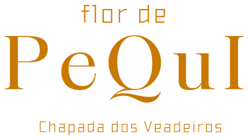 Flor de Pequi — Chapada dos Veadeiros
